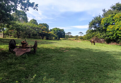 Oportunidade! Vende Fazenda com 481 ha, em Presidente Juscelino (Paraúna)