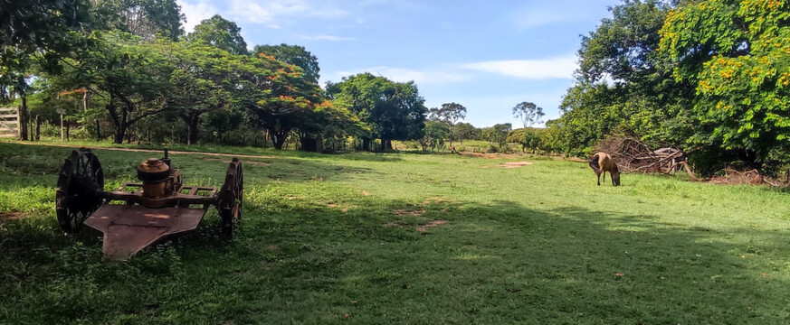 FAZENDA MORRO REDONDO III